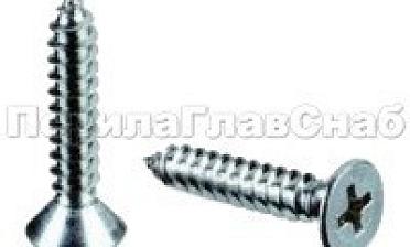 (DIN 7982.А2) Саморез 3,5х16 пот. гол. нерж. под крест М-3850 купить в Екатеринбурге